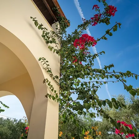 Apartment Olga Vasilikos (Zakynthos)